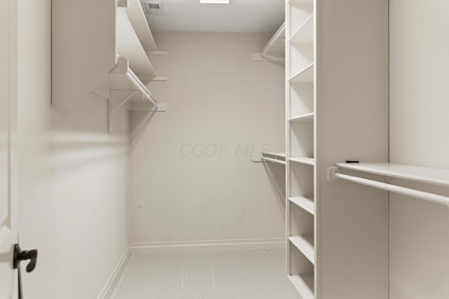 view of walk in closet