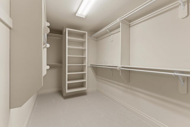 spacious closet featuring light colored carpet