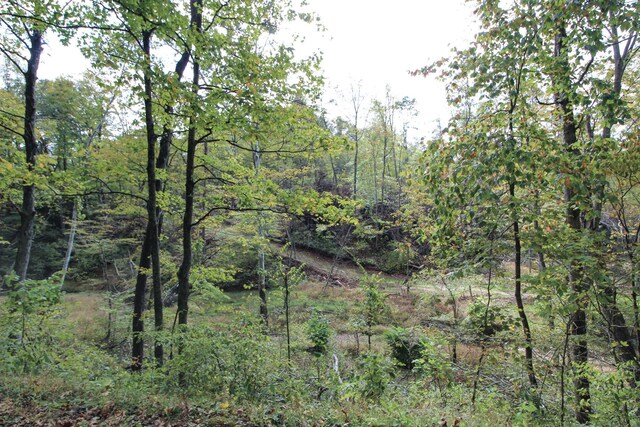 0 Cow Run Rd, Marietta, OH 45750