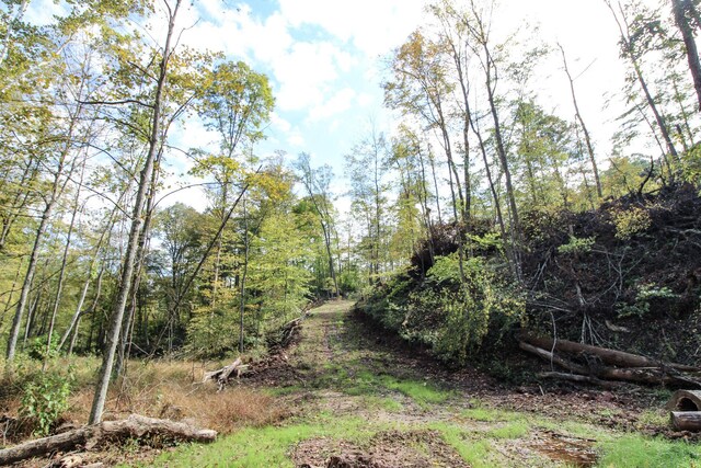 0 Cow Run Rd, Marietta, OH 45750