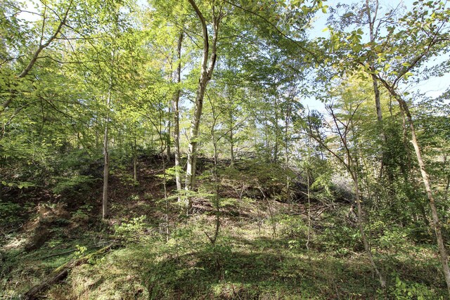 0 Cow Run Rd, Marietta, OH 45750