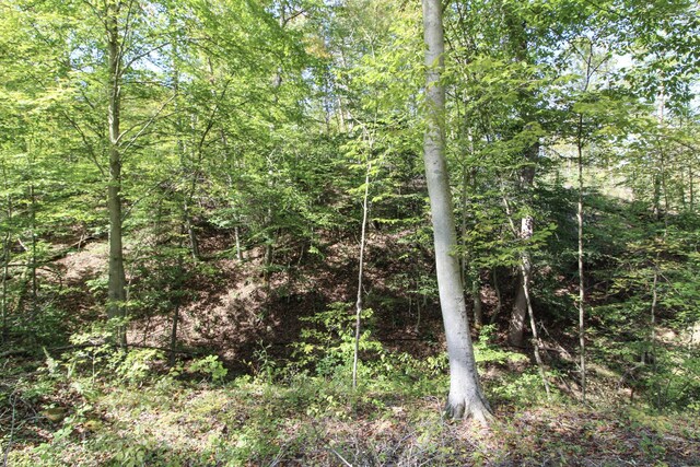 0 Cow Run Rd, Marietta, OH 45750