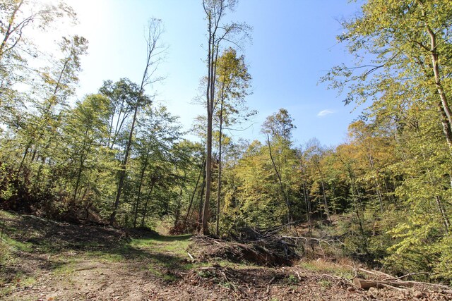 0 Cow Run Rd, Marietta, OH 45750