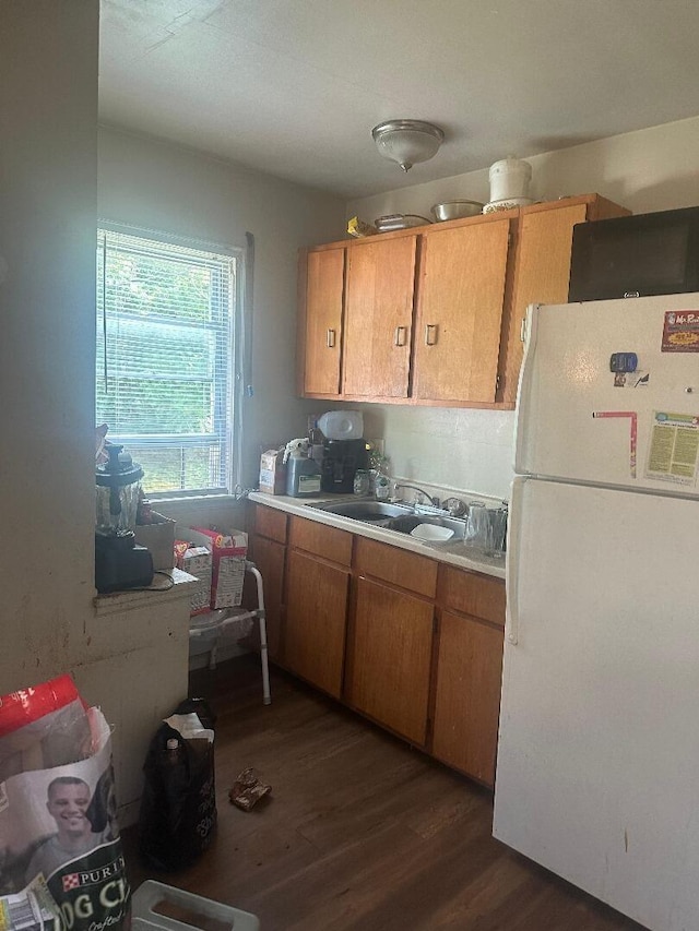 kitchen featuring sink, dark hardwood / wood-style floors, and white refrigerator