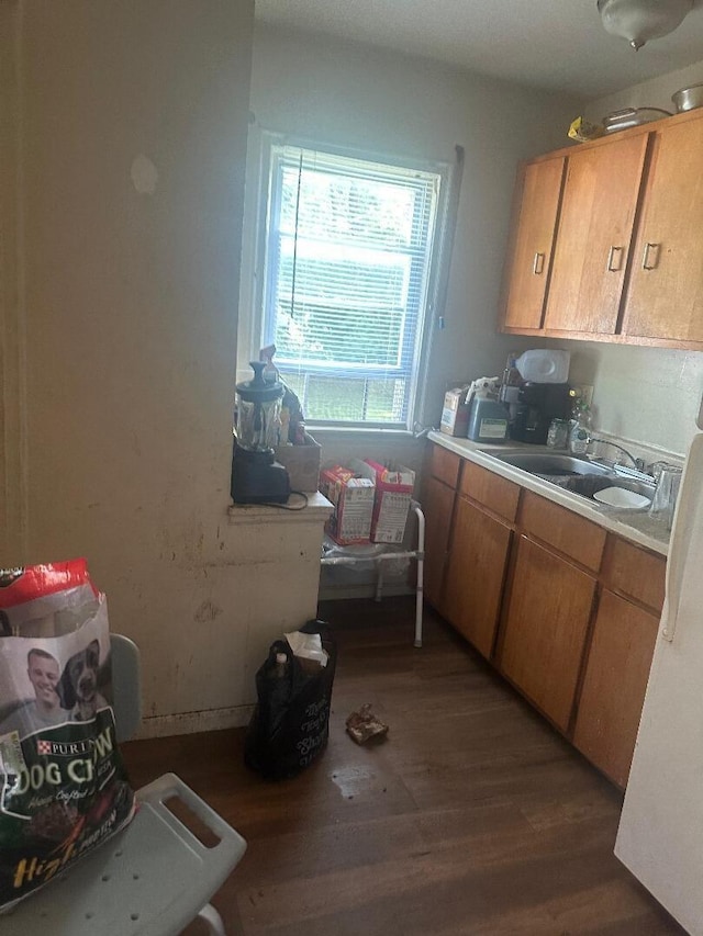 kitchen featuring dark hardwood / wood-style flooring and sink