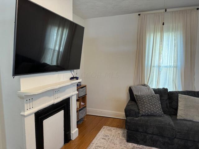 living room with hardwood / wood-style flooring