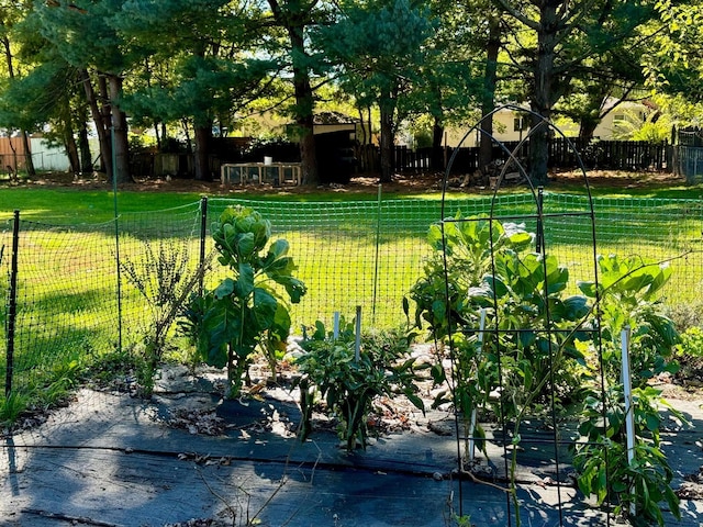 view of home's community featuring a yard