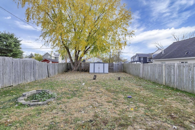 view of yard with a storage shed