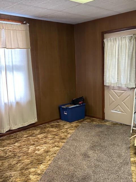 unfurnished room featuring carpet flooring and wooden walls