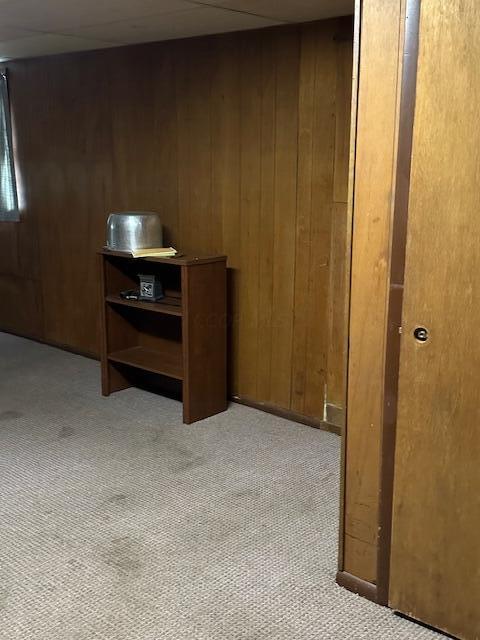 interior space featuring wood walls and light carpet