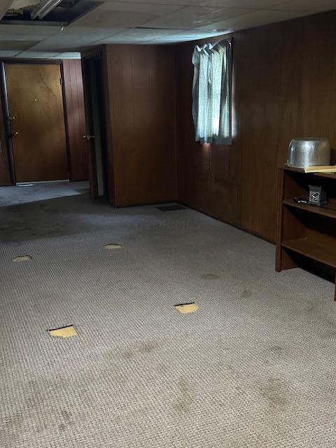 basement with light colored carpet and wooden walls