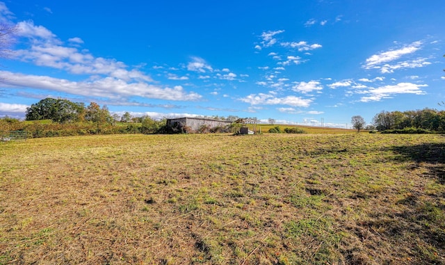 view of yard with a rural view