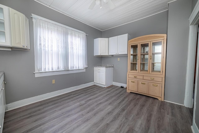 interior space with dark hardwood / wood-style floors, a wealth of natural light, and ceiling fan