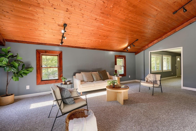 living room with wood ceiling, vaulted ceiling, and rail lighting