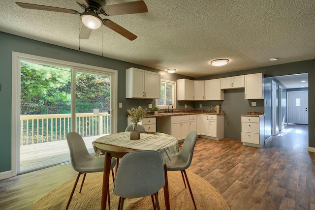 dining area featuring sink, dark hardwood / wood-style flooring, a textured ceiling, and ceiling fan