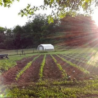 view of yard with a rural view