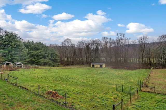 view of yard with a rural view