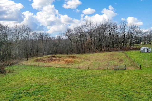 view of yard with a rural view