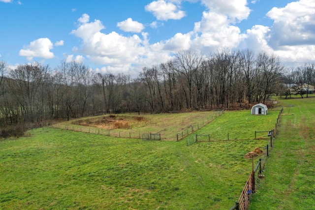 view of yard featuring a rural view