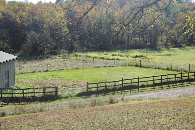 view of yard with a rural view