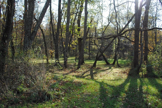 view of local wilderness