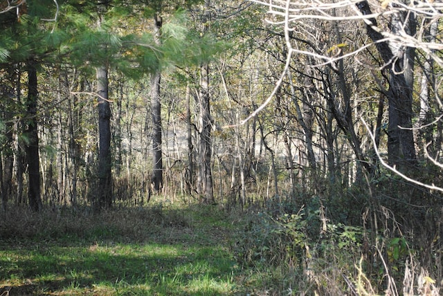 view of landscape