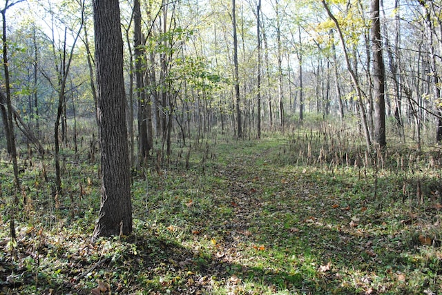 view of landscape