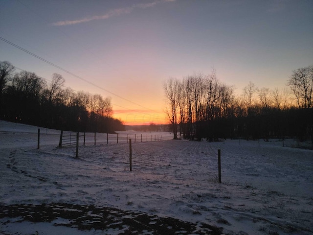 view of yard at dusk