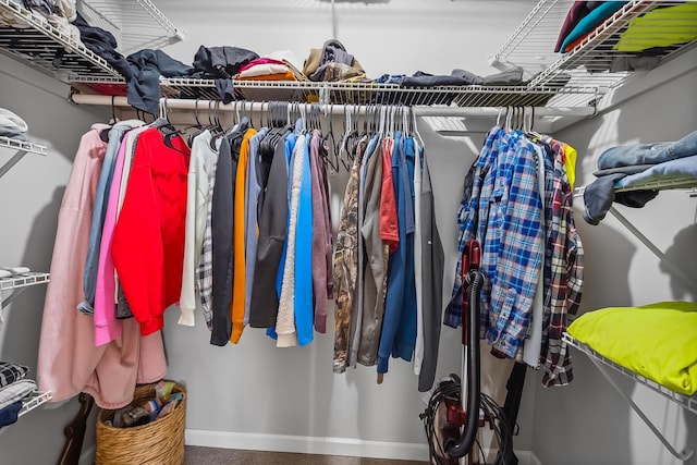 view of spacious closet