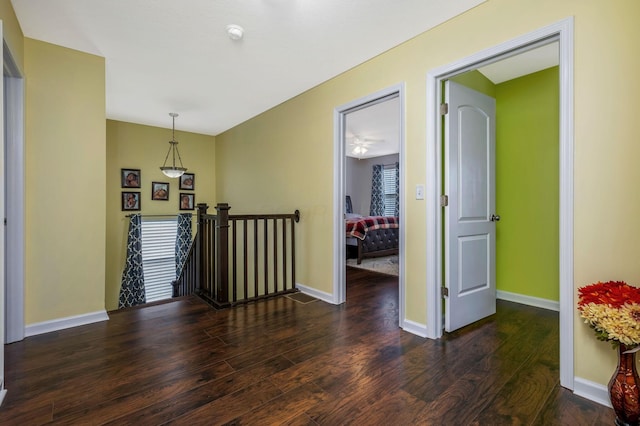 hallway with plenty of natural light and dark hardwood / wood-style flooring