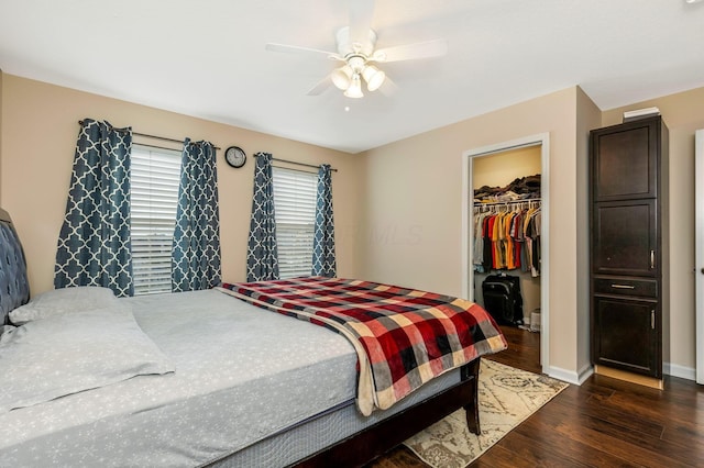 bedroom featuring a walk in closet, ceiling fan, a closet, and dark wood-type flooring