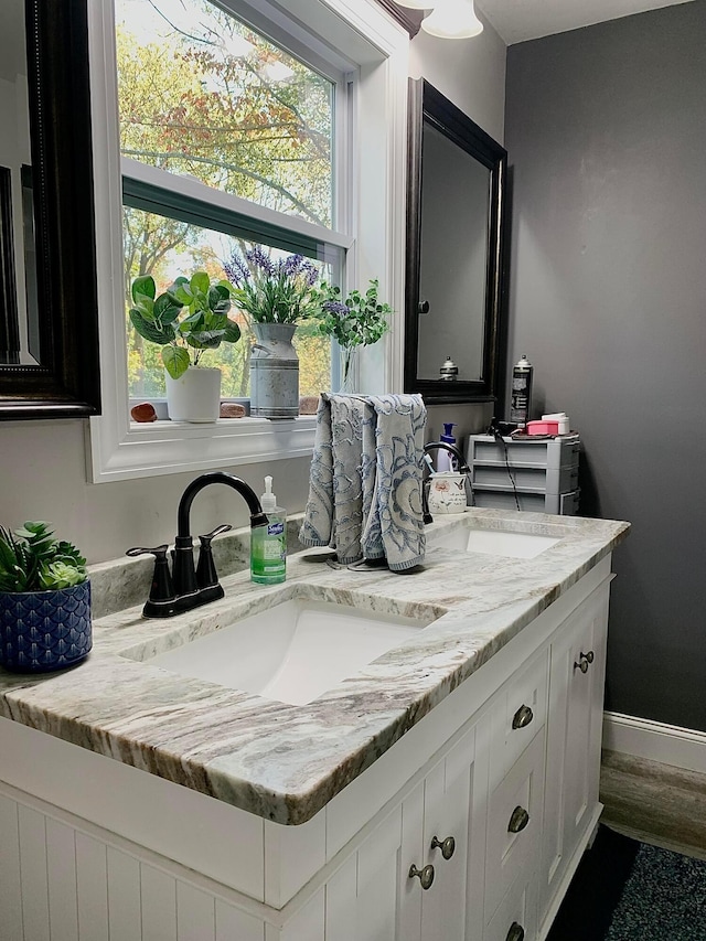 bathroom featuring wood-type flooring, vanity, and a healthy amount of sunlight