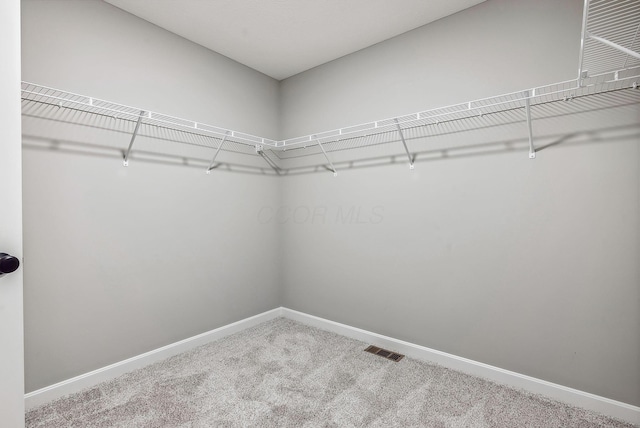 spacious closet with carpet flooring