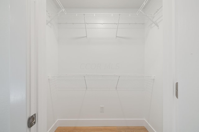 walk in closet with wood-type flooring