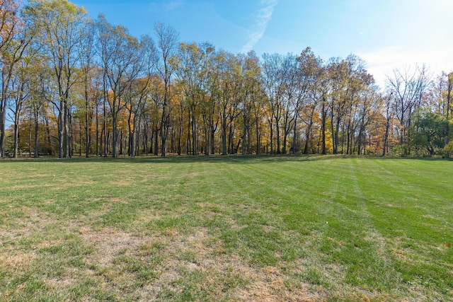 10492 Allen Rd, Pickerington, OH 43147 - view of green lawn