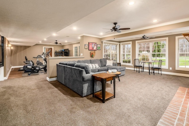 living room with carpet flooring, crown molding, ceiling fan, and a textured ceiling