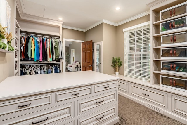 spacious closet featuring carpet