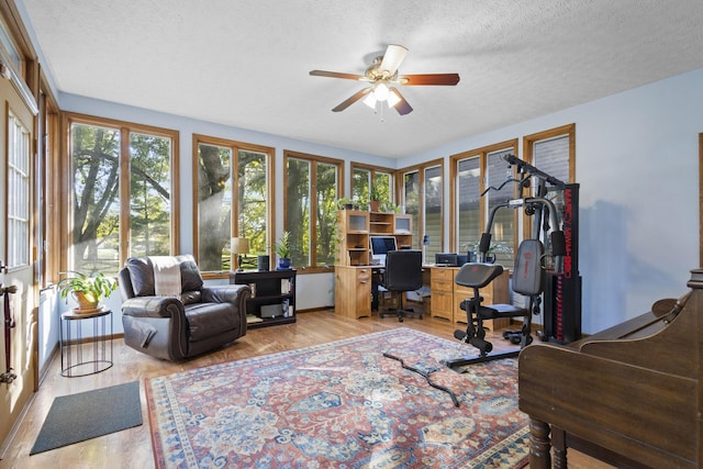 home office featuring a textured ceiling, light hardwood / wood-style flooring, and ceiling fan