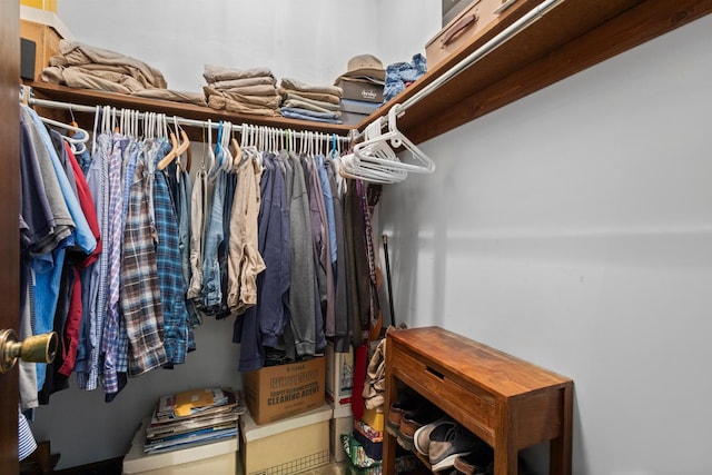 view of walk in closet