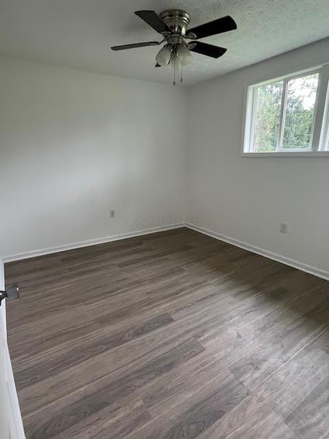 641/2 N Beaver St, Carroll, OH 43112 - spare room featuring dark wood-style flooring and ceiling fan