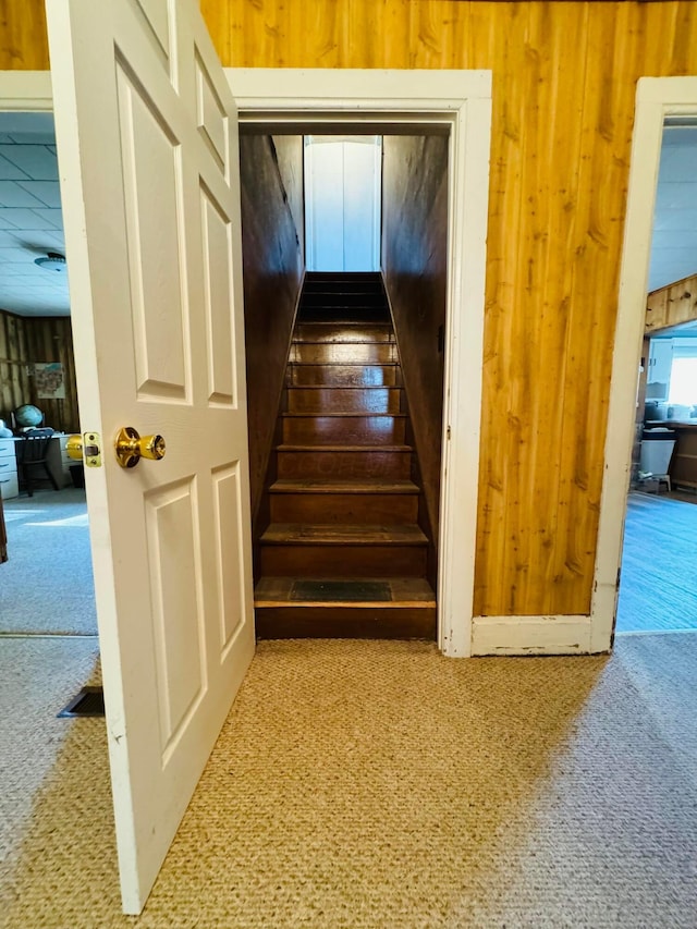 stairs featuring carpet and wooden walls