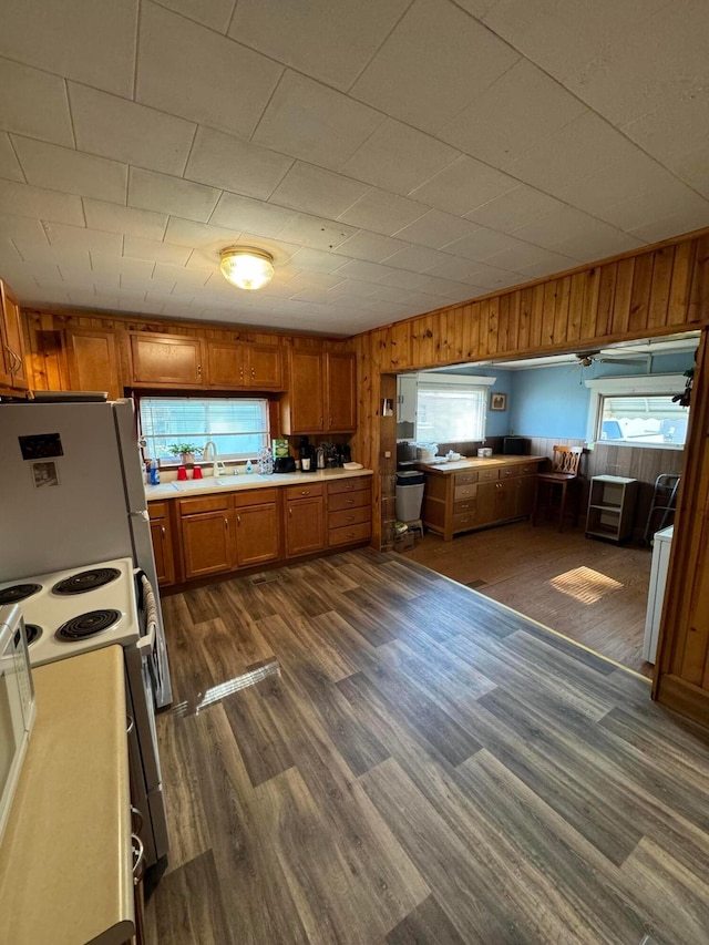 kitchen with white appliances, dark hardwood / wood-style flooring, wood walls, and sink