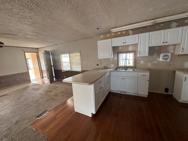 8565 Smith Calhoun Rd Unit 162, Plain City, OH 43064 - kitchen featuring a peninsula, a textured ceiling, white cabinetry, dark wood finished floors, and wainscoting
