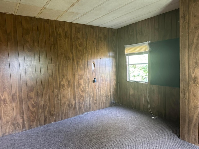 8565 Smith Calhoun Rd Unit 162, Plain City, OH 43064 - unfurnished room with wood walls and carpet