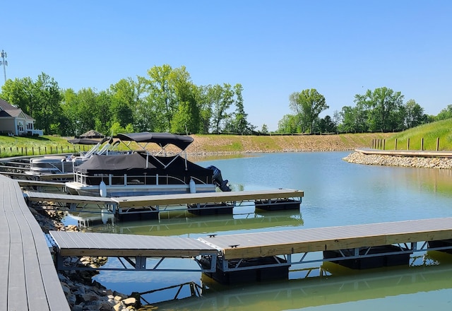 dock area with a water view