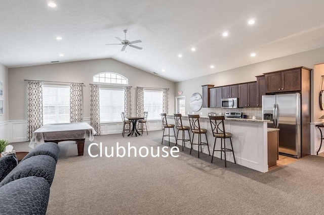 kitchen featuring light carpet, appliances with stainless steel finishes, dark brown cabinets, and a wealth of natural light