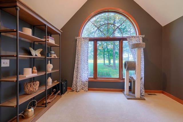 misc room featuring carpet and lofted ceiling