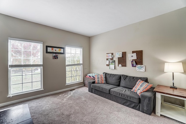 carpeted living room with plenty of natural light