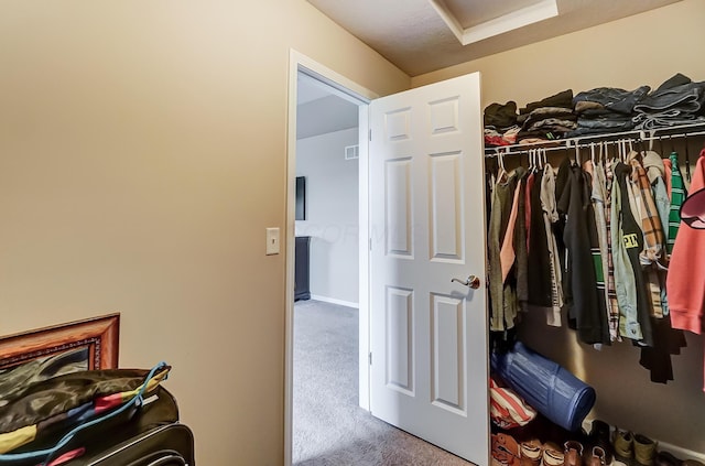 spacious closet with carpet flooring