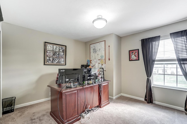 office space featuring plenty of natural light and light carpet